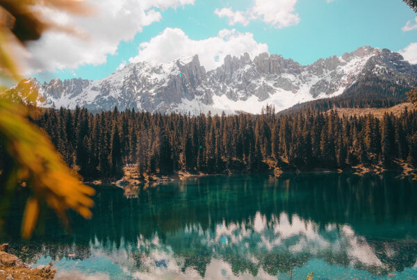 cristina gottardi gj8zqv7egmu unsplash