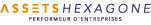 Assets Hexagone | Cabinet conseil management – Performeur d'entreprises